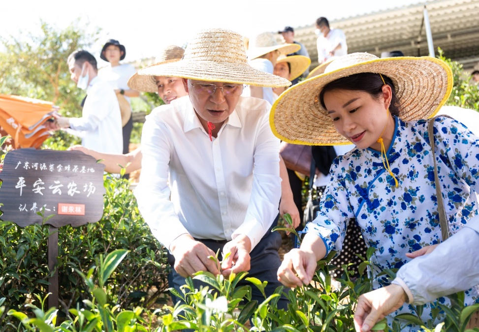 平安银行：发挥专业优势 推出共同富裕新举措