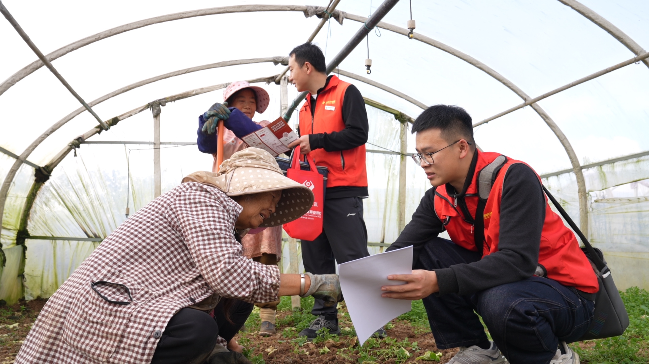 陆良农商银行工作人员深入田间地头提供金融服务 陆良农商银行供图