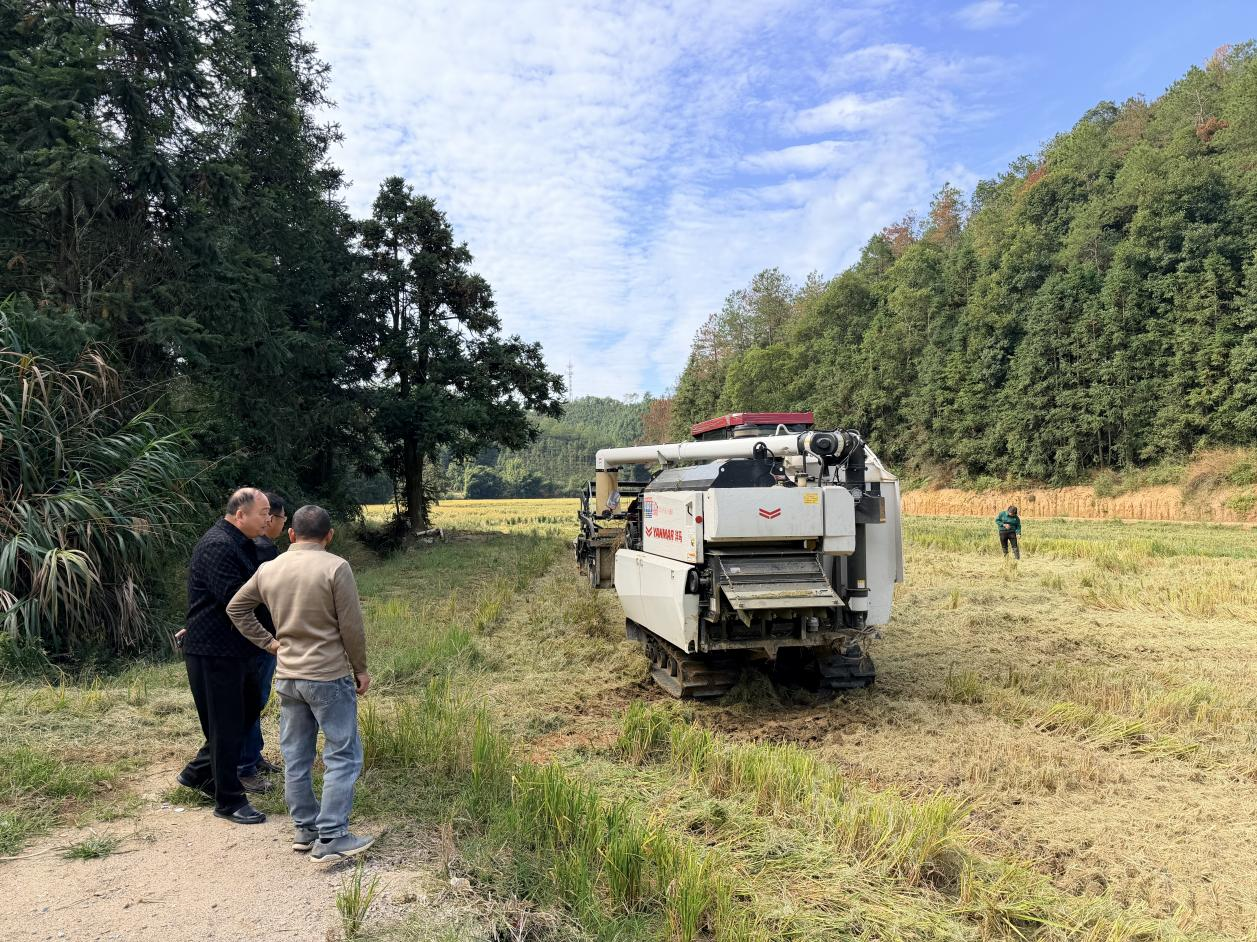 定南邮政把优质服务送到田间地头 定南邮政分公司供图