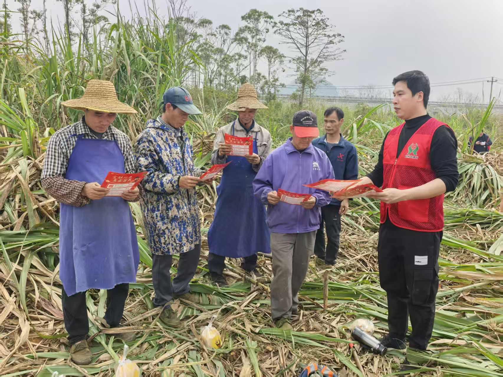 龙州农商银行党员向蔗农讲解贷款政策 龙州农商银行供图