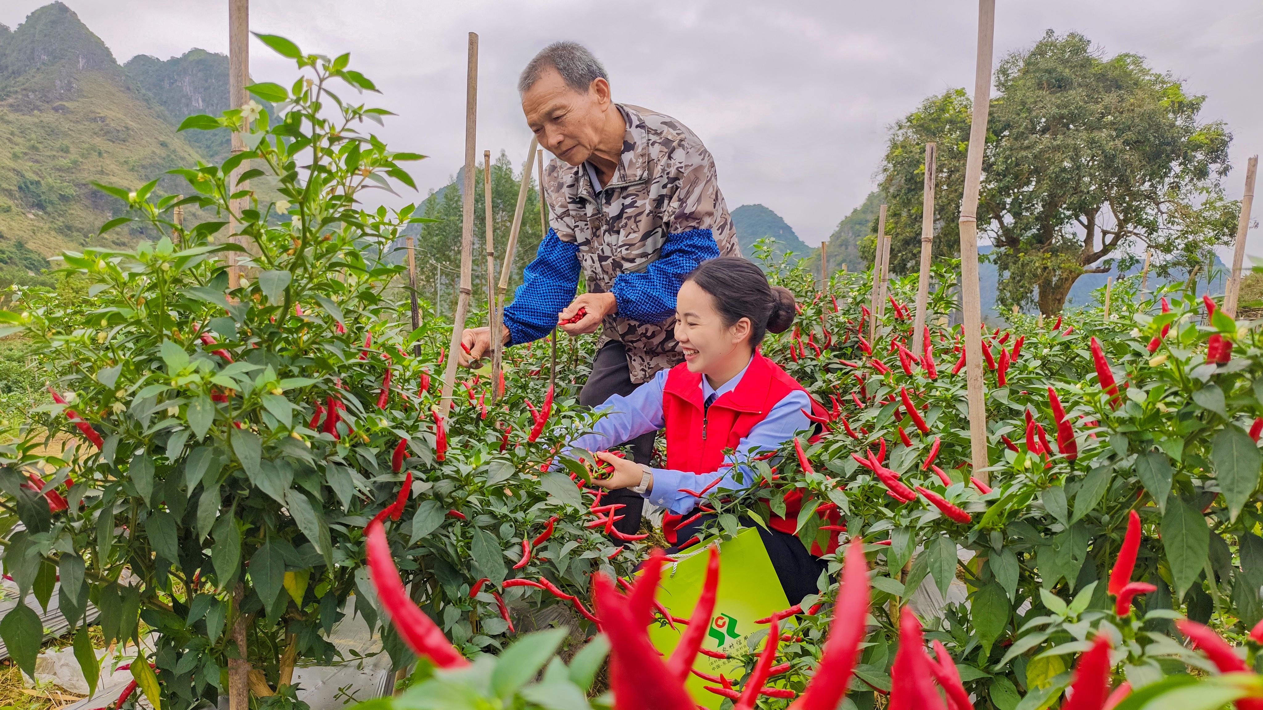 坚守支农支小  服务春耕备耕