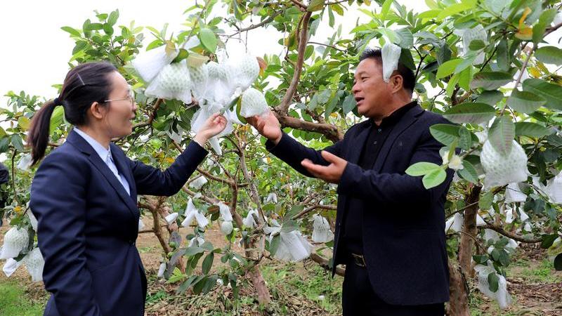 春到田间暖 惠农正当时