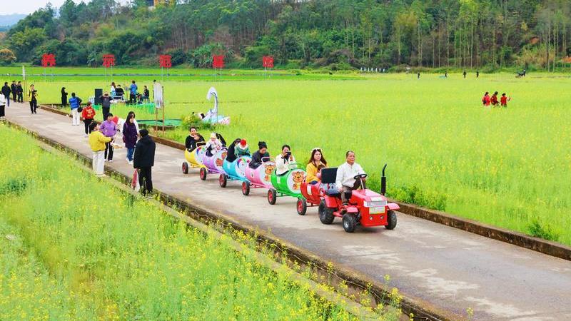 金融托举  油菜花开