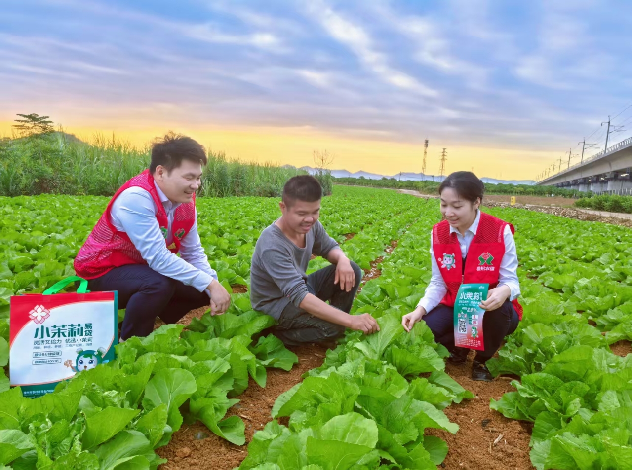 横州农信联社金融专员深入田间地头,了解种植户资金需求 横州农信联社供图