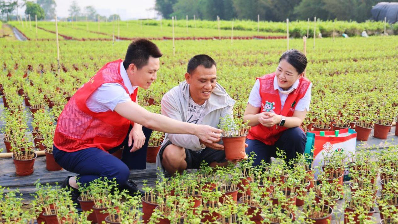 深入田间地头 服务春耕生产