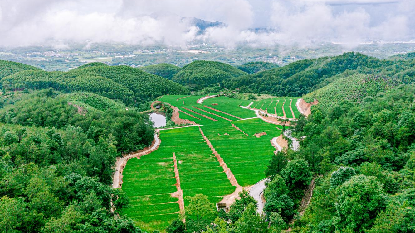 山水田间好“丰”景 金融笔墨绘振兴