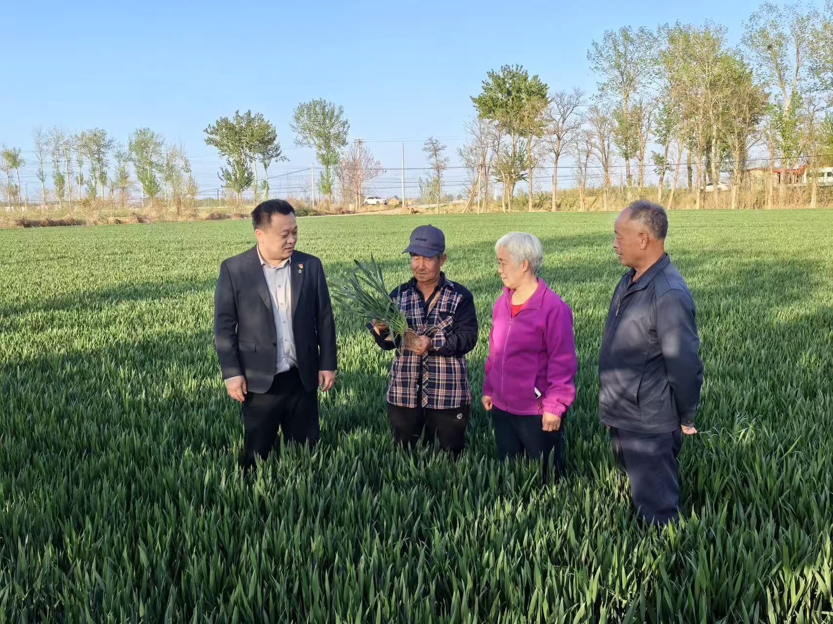 调研现场 莱州珠江村镇银行供图