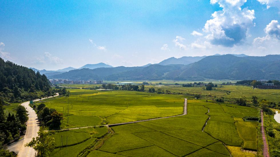 农发行三明市分行信贷支持的沙县乡村振兴全域土地综合整治项目 农发行三明市分行供图