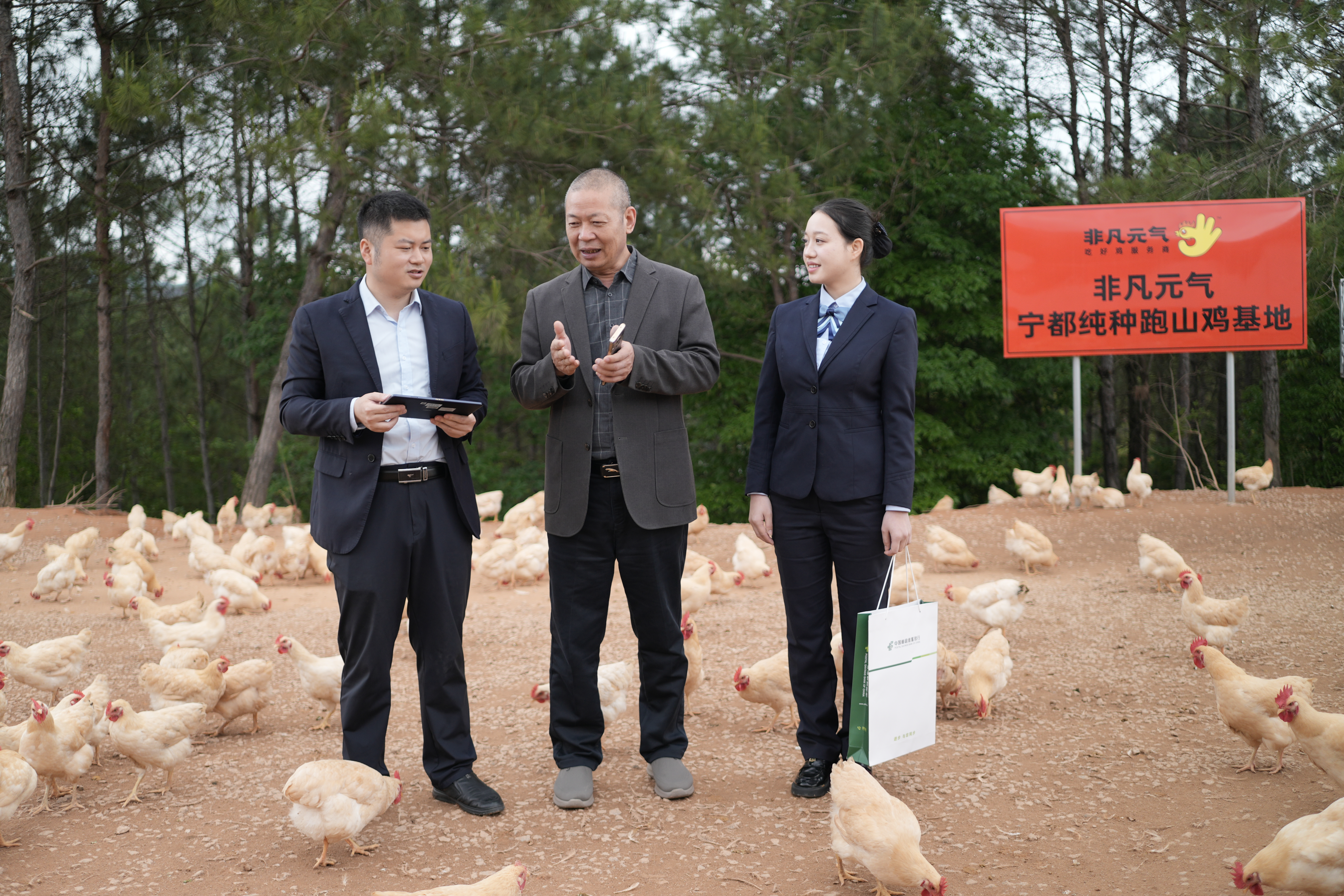 邮储银行赣州市分行为江西惠大农牧科技有限公司提供信贷支持 邮储银行赣州市分行供图