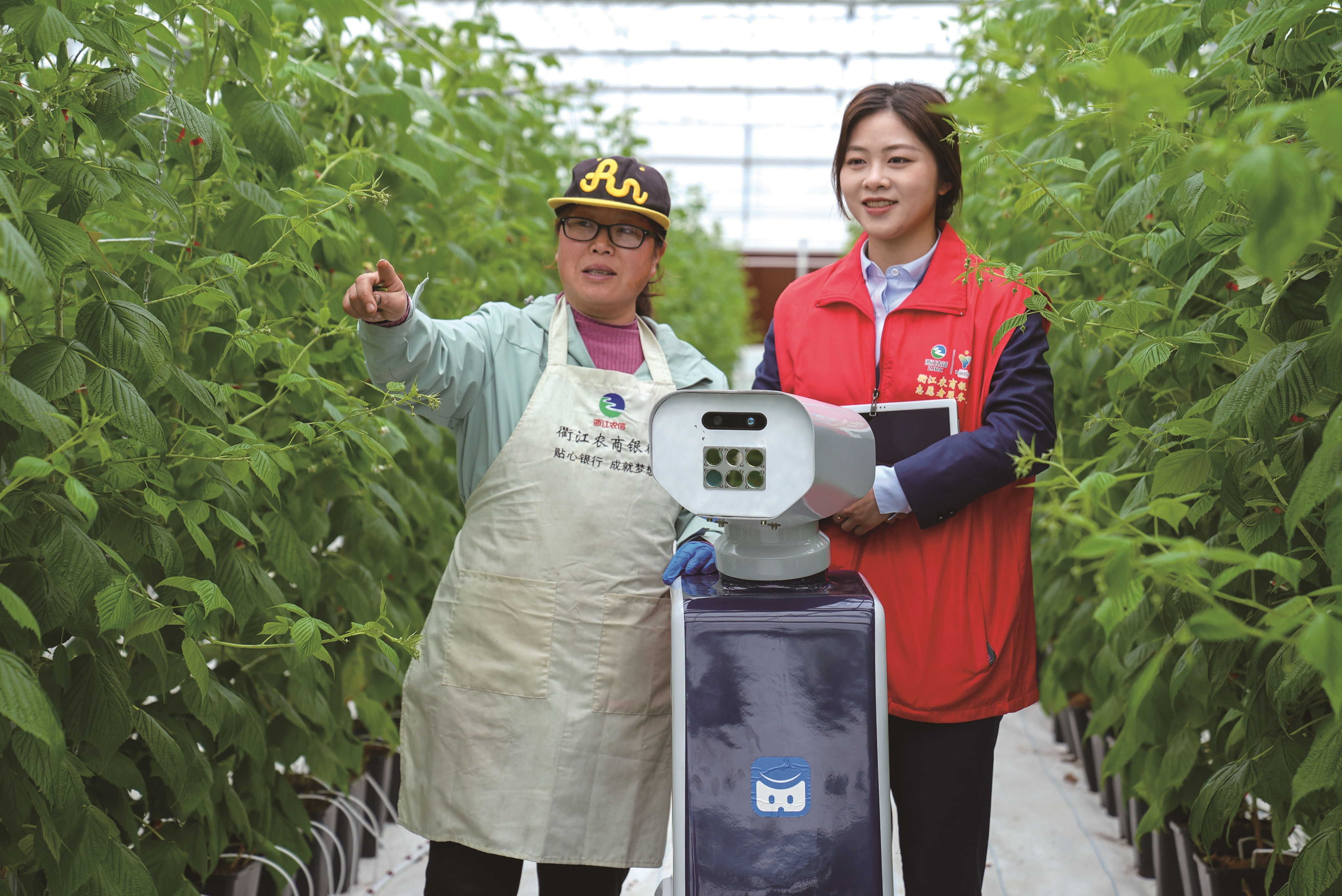 衢江农商银行客户经理在衢州耘仓农业科技有限公司体验农业巡检机器人(周智敢 摄)