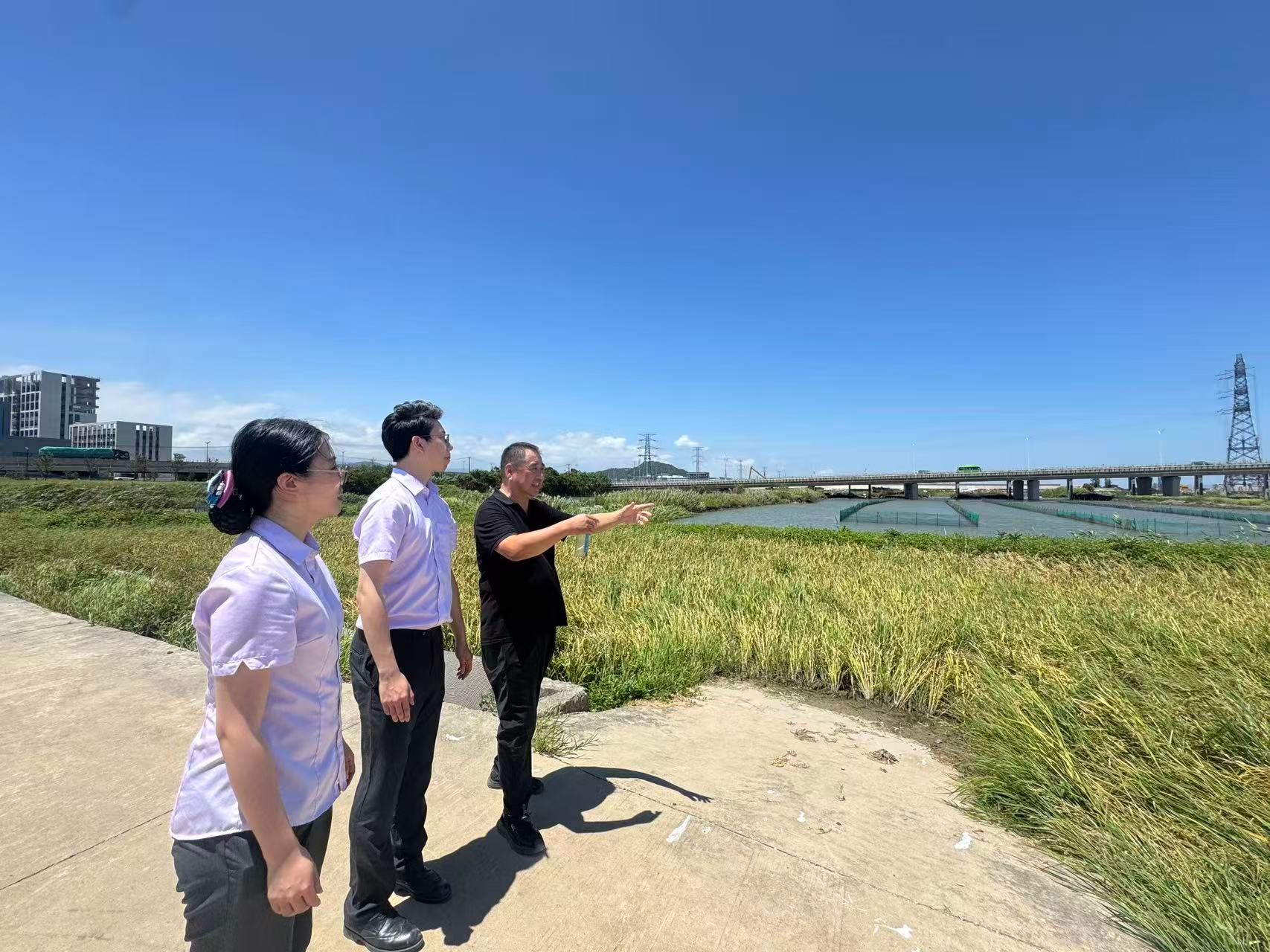 农行乐清市支行为当地受灾养殖户提供金融支持 (谢尚聘 摄)