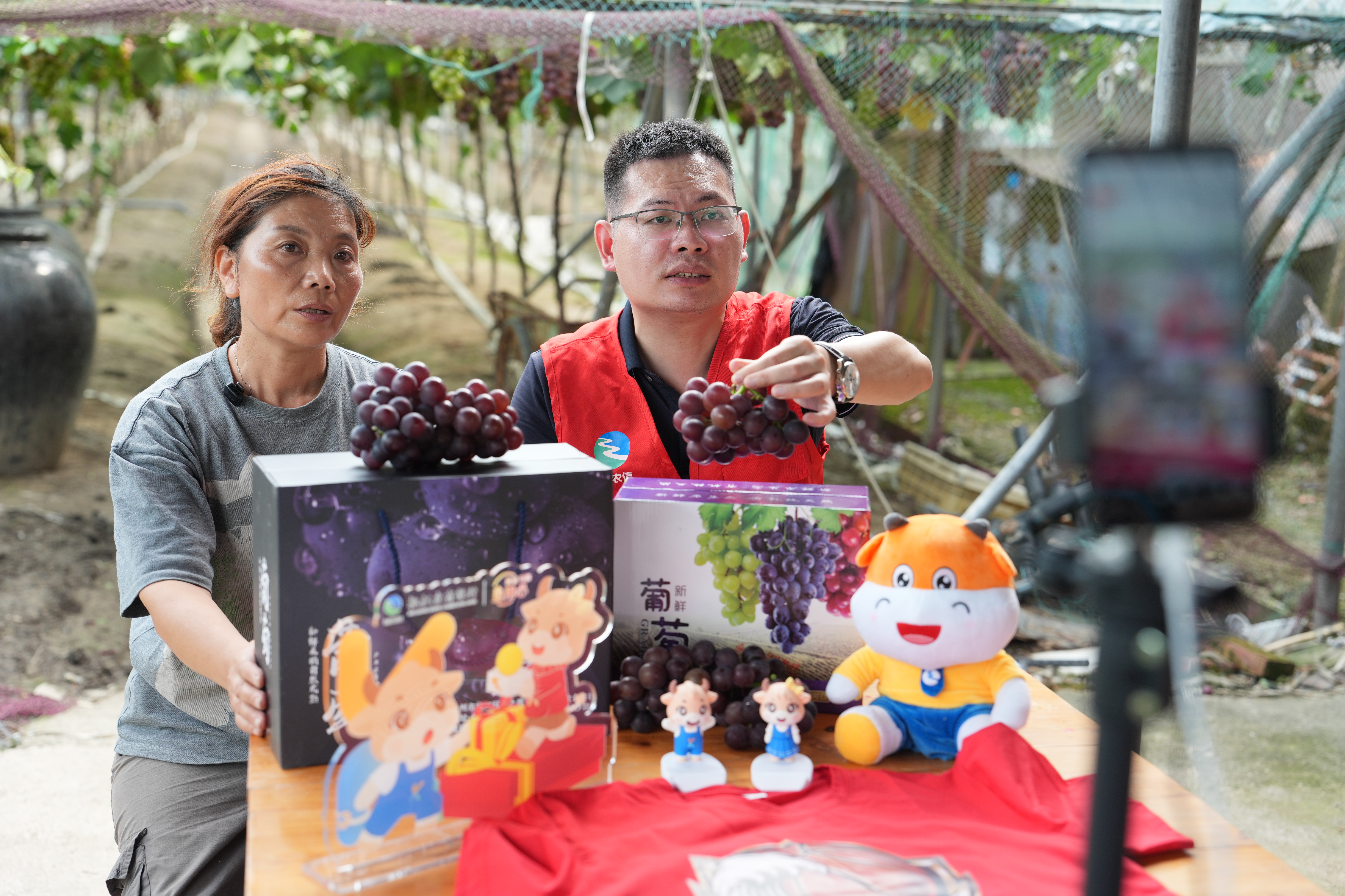 助农直播现场 椒江农商银行供图
