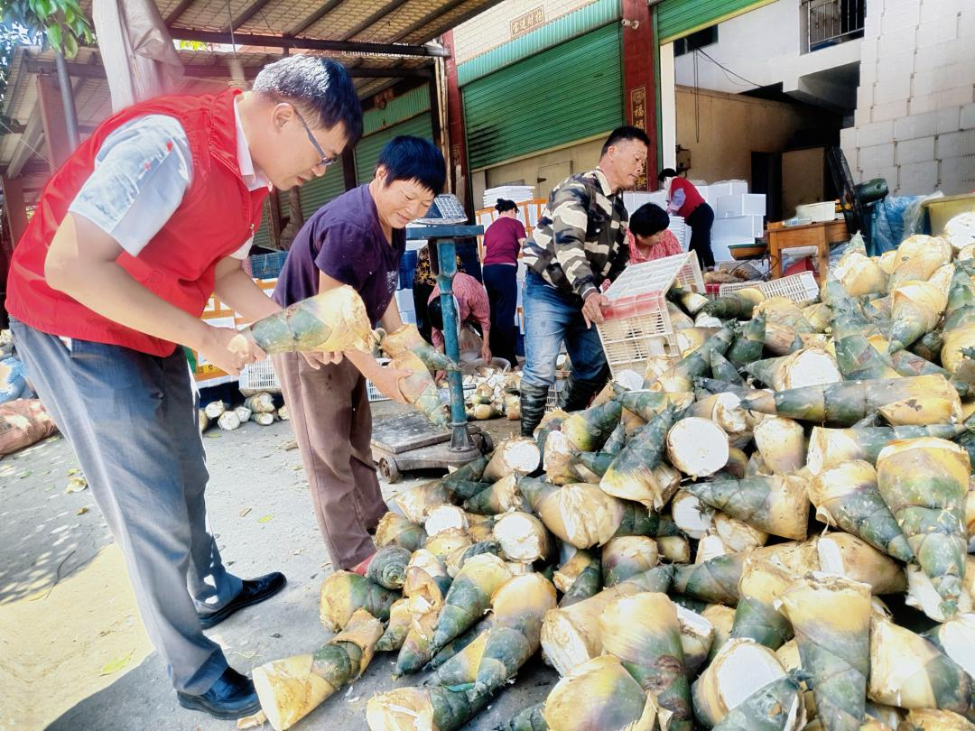 华安农信联社金融助理员在竹笋收购现场了解金融需求 华安农信联社供图