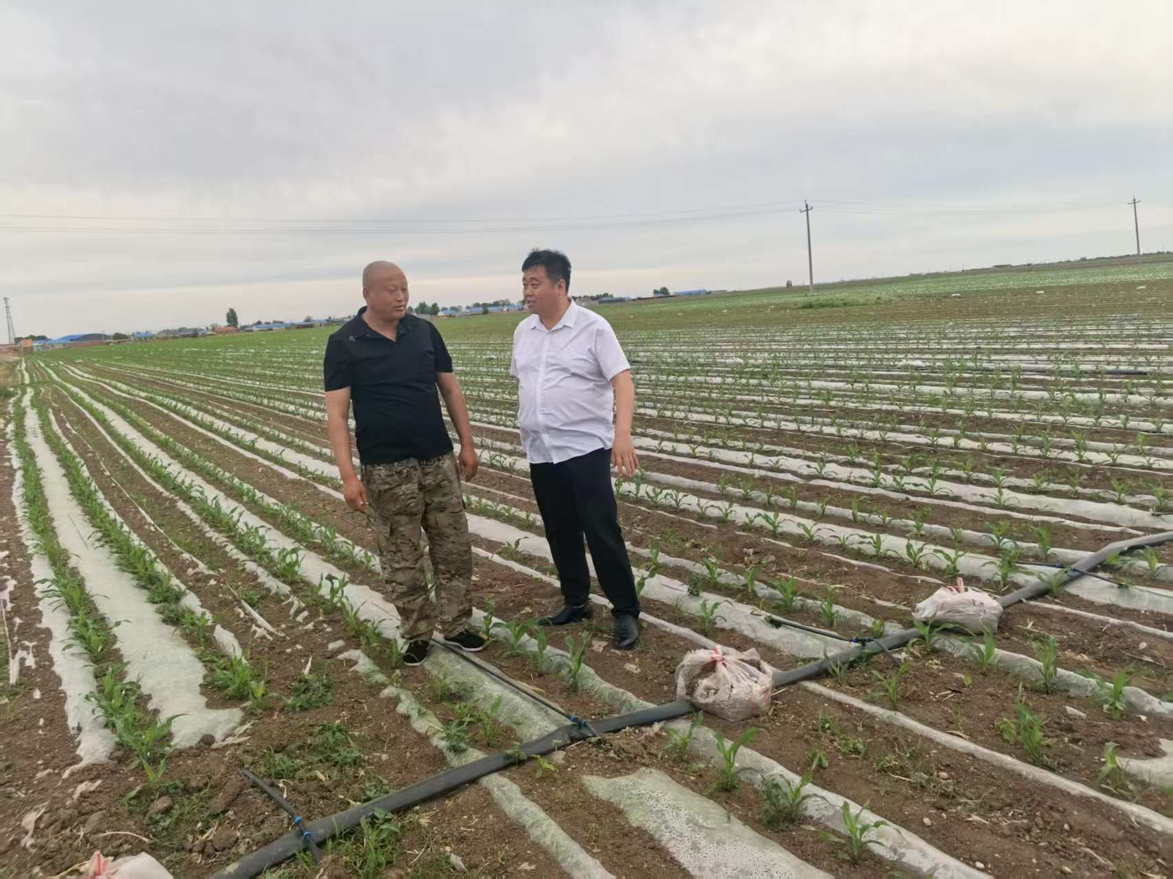 客户经理深入田间地头,摸排资金需求。 邮储银行兴安盟分行供图 配图1
