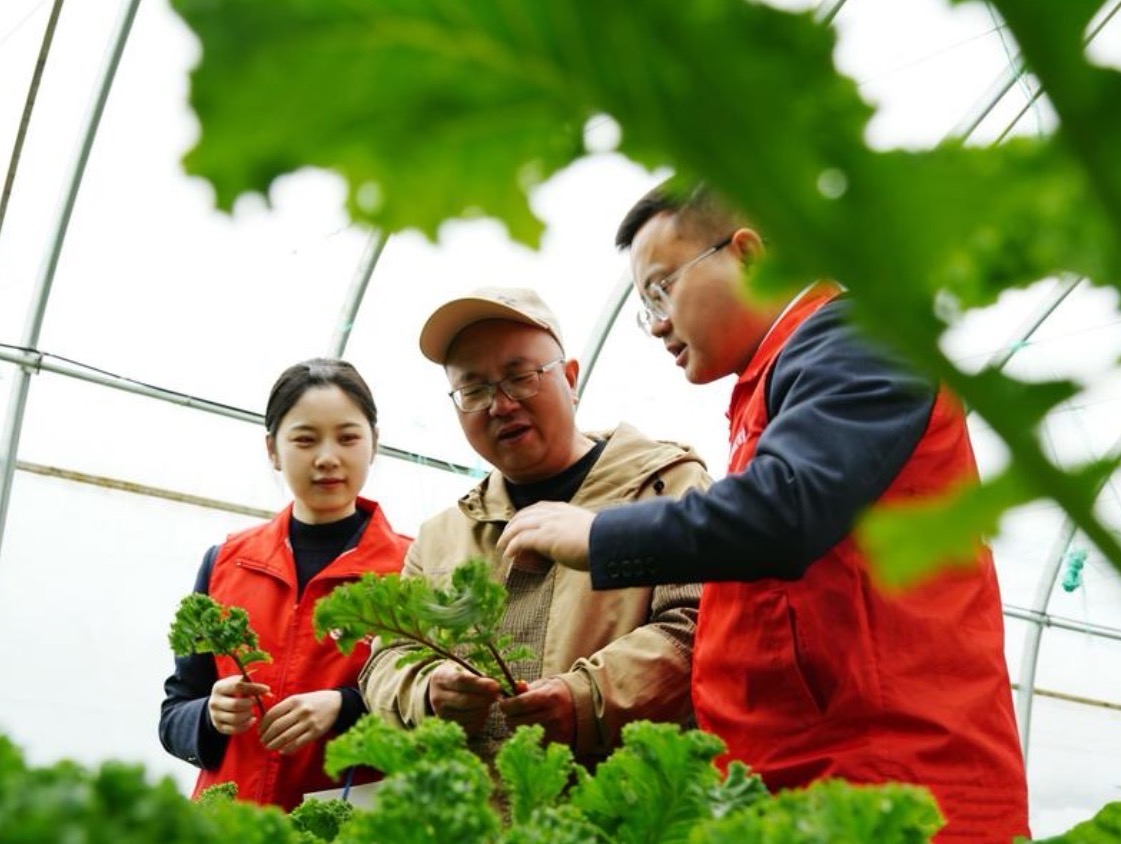 常山农商银行客户经理走访球川镇三溪村共富果园(王瑞琦 摄)