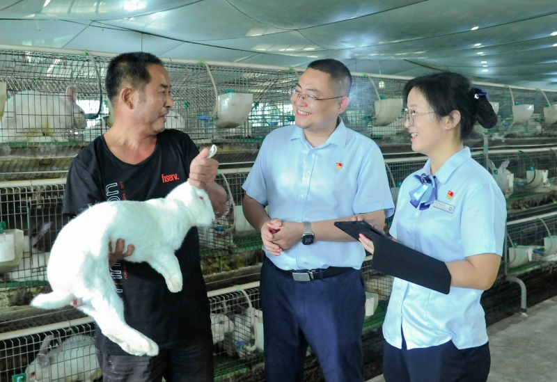 图为枣阳农商银行信贷人员在枣阳市兴隆镇返乡创业农民的伊拉兔繁育养殖场作贷款回访 枣阳农商银行供图 配图1