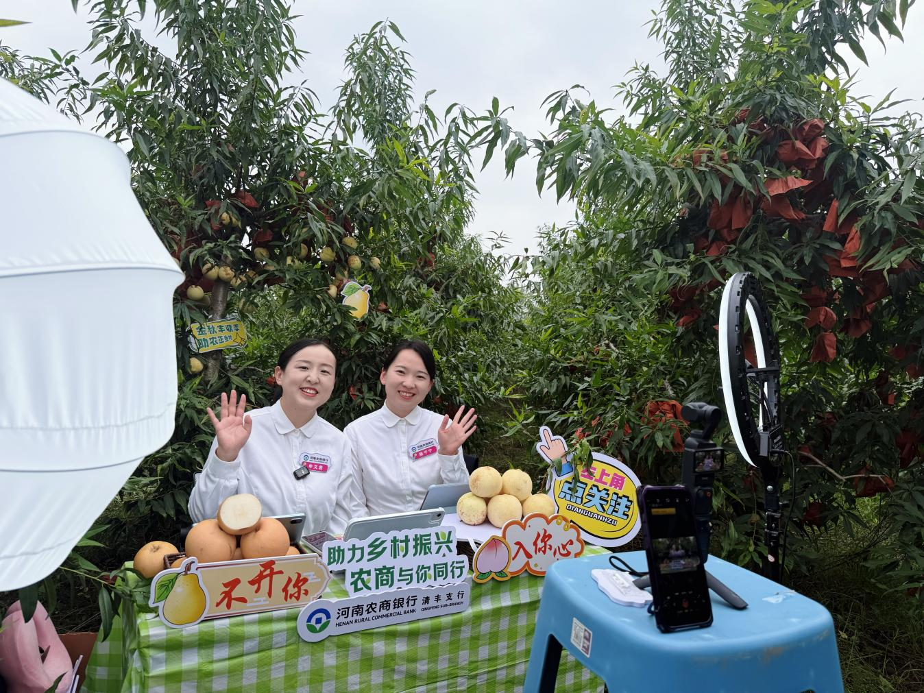 助农直播现场 河南农商银行供图 配图2