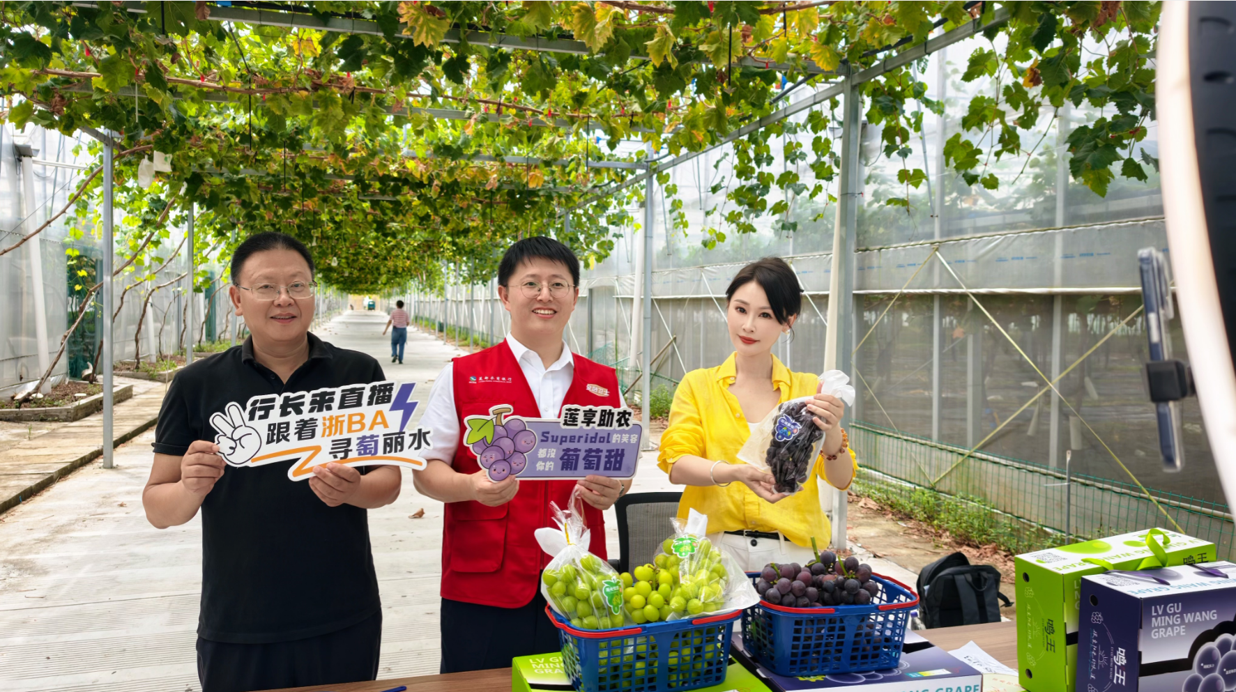 云上拓销路 抢收保果香
