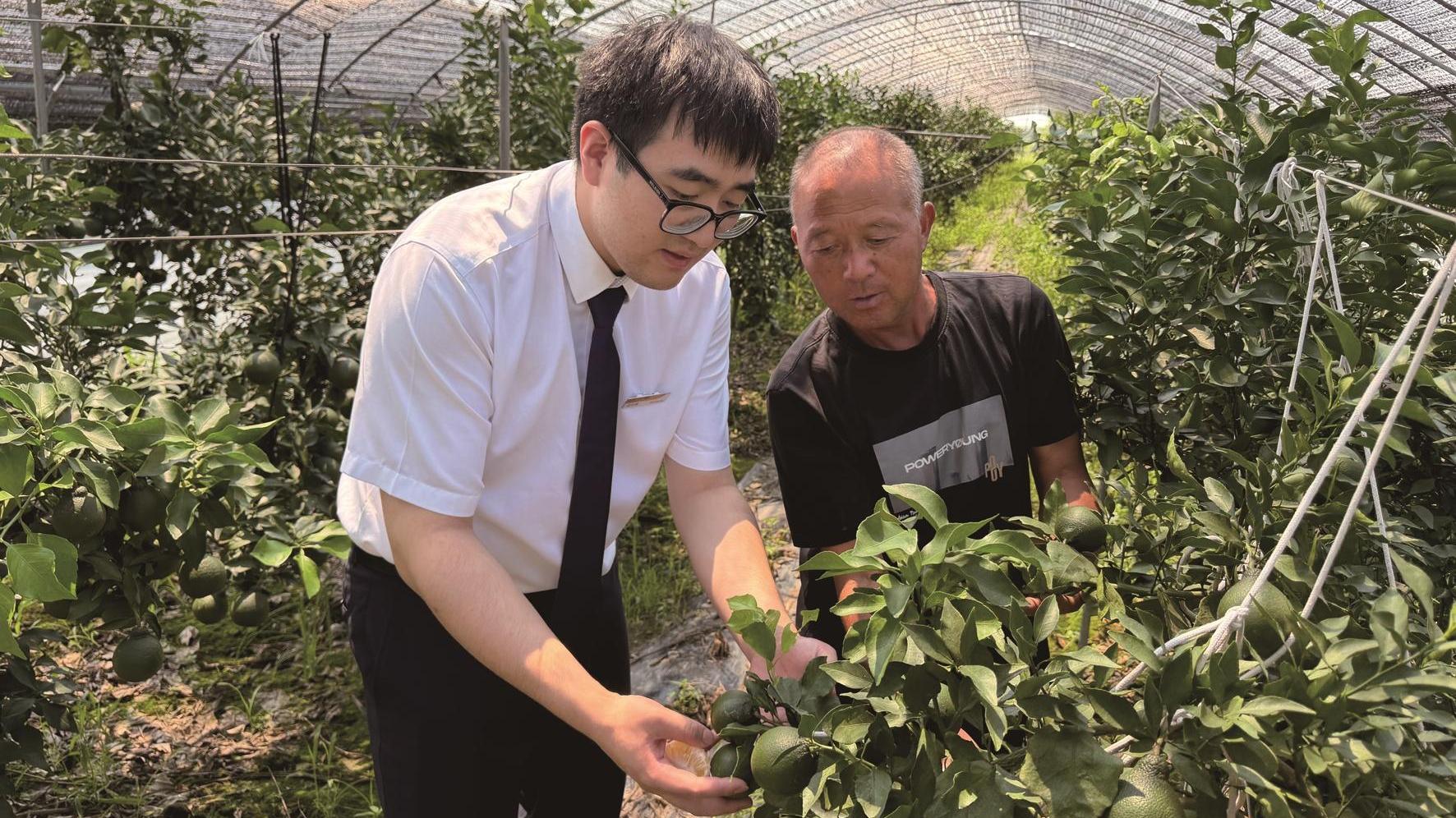 主动上门走访 助力果蔬成熟