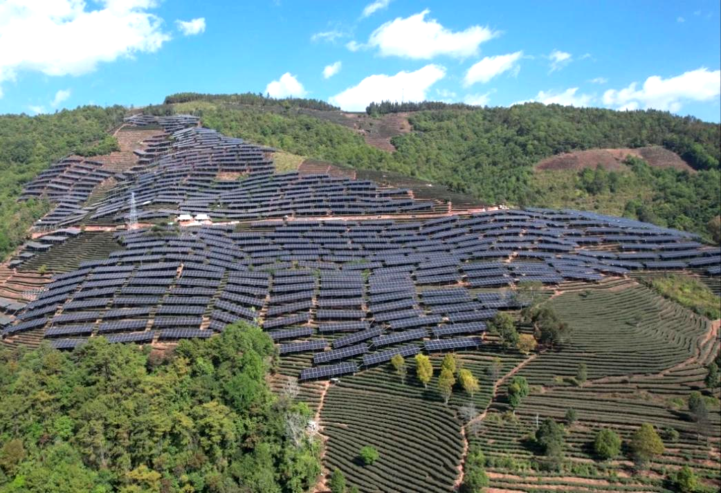 农发行墨江县支行信贷支持打造的龙坝光伏“茶光互补”新业态 农发行墨江县支行供图