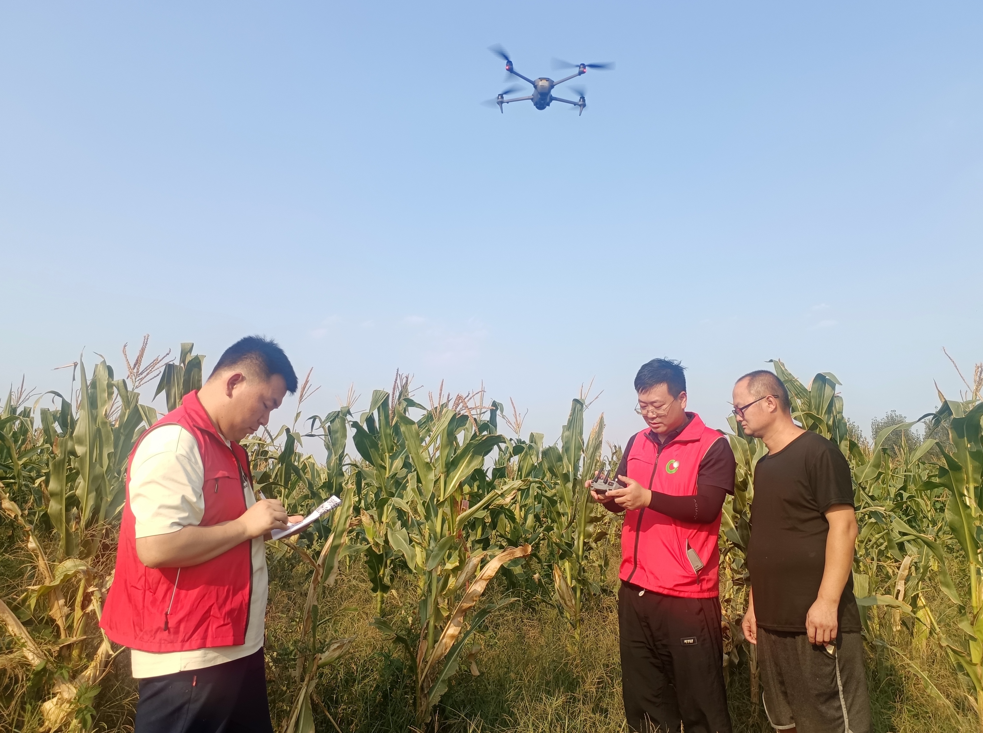 中国人寿财险潍坊市中心支公司利用卫星遥感、无人机航拍与地理信息定位系统对受灾秋粮进行查勘。中国人寿财险潍坊市中心支公司供图