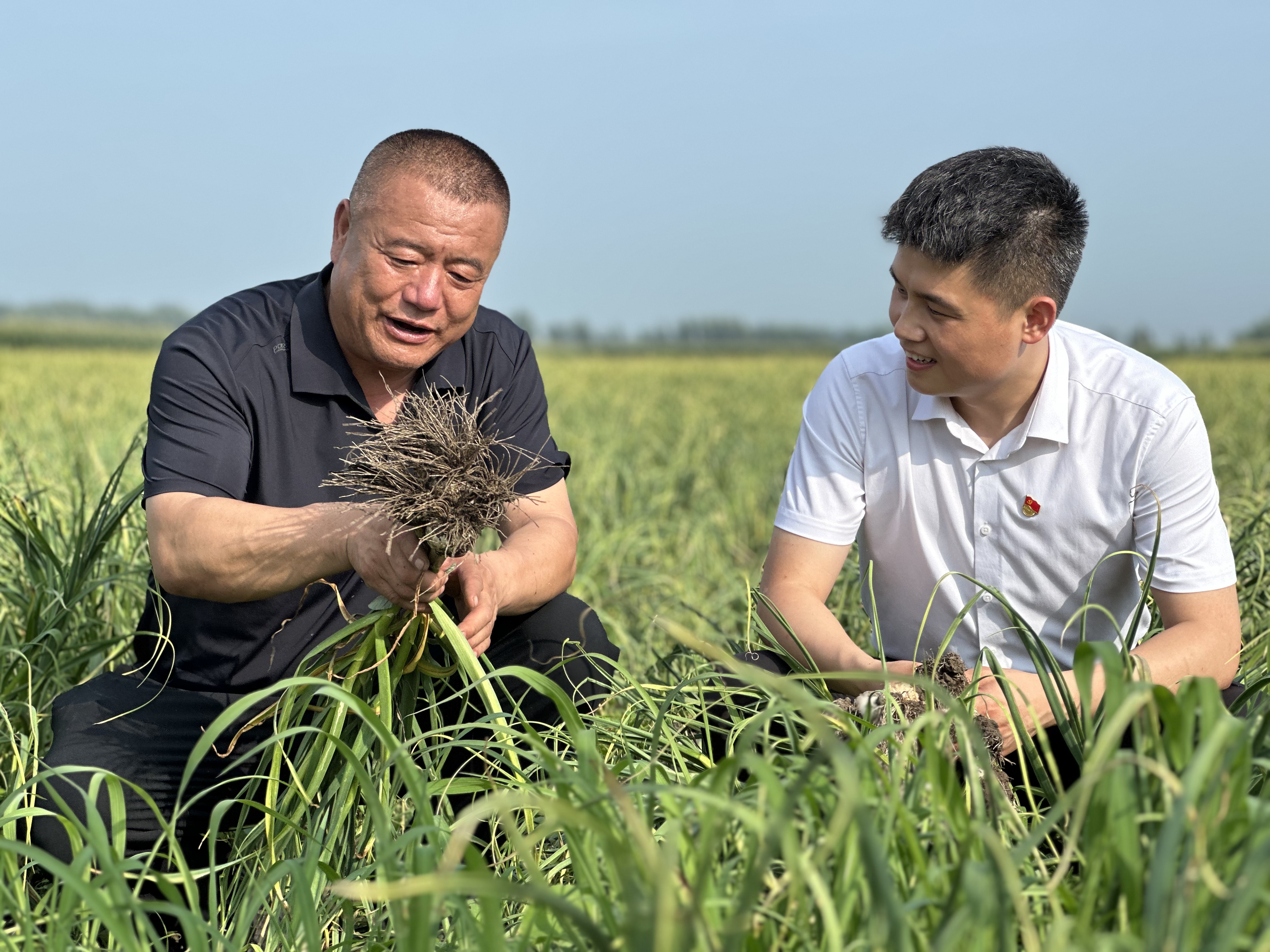 建设银行吉林省分行工作人员深入田间地头了解农户需求 建设银行吉林省分行供图