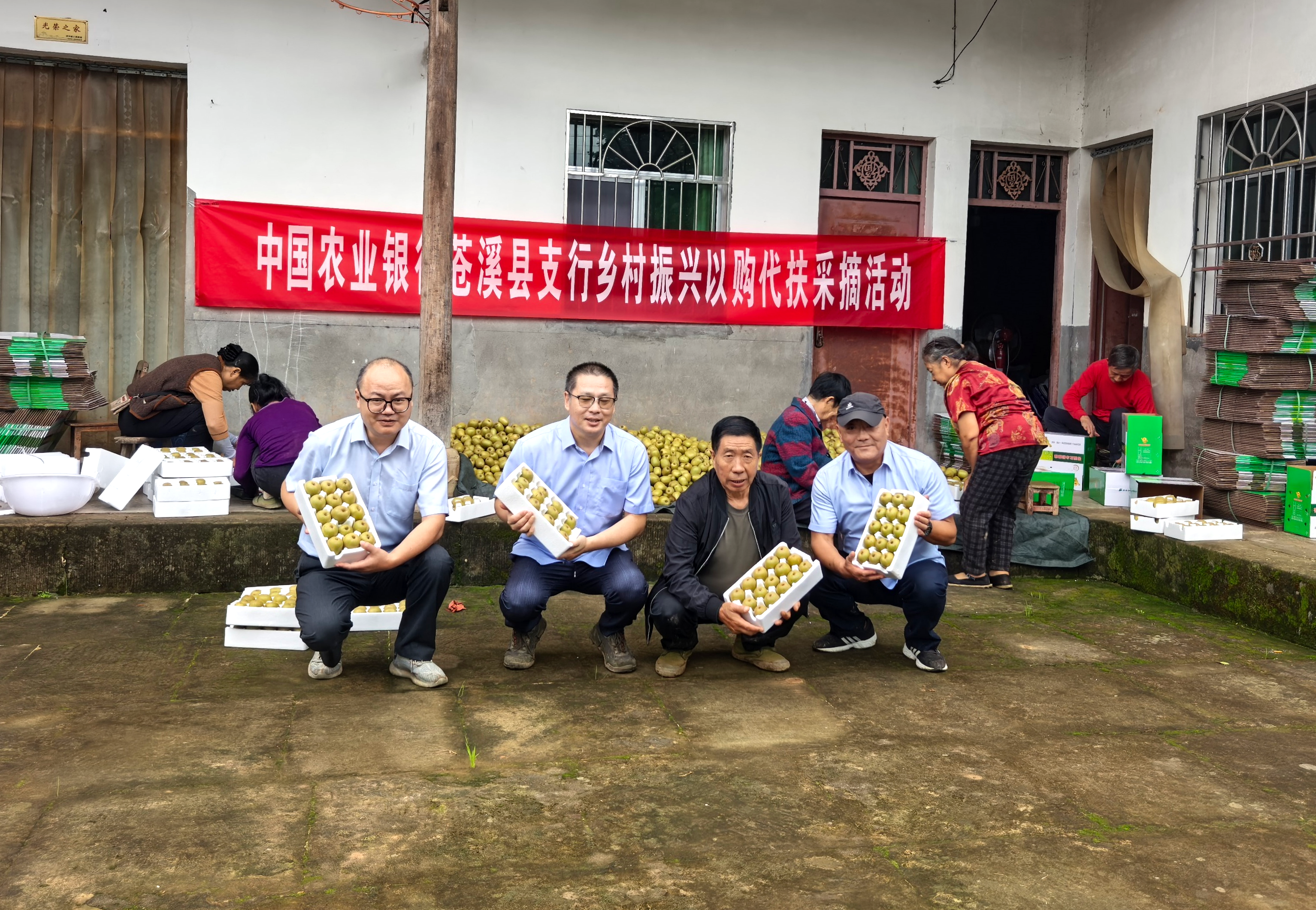 农行苍溪支行开展以购代扶助农活动 农行苍溪支行供图