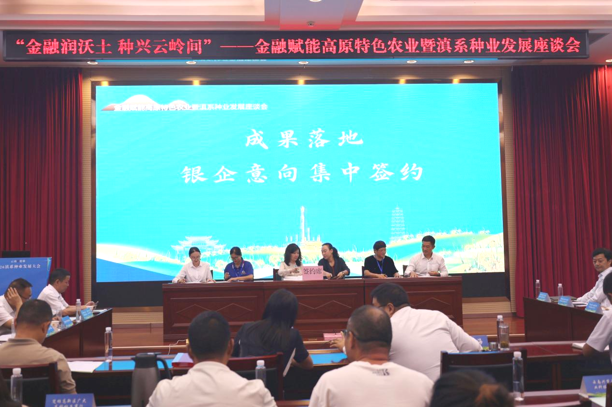 银企意向集中签约 人民银行楚雄州分行供图